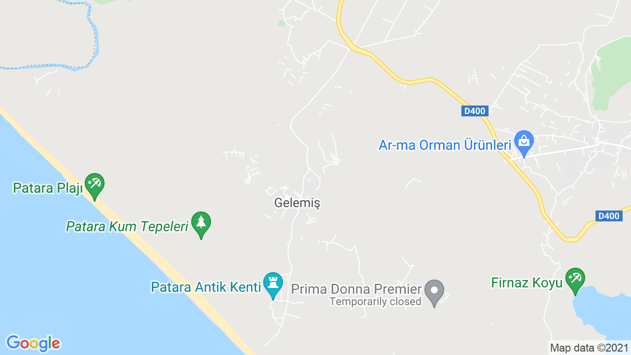 google map
