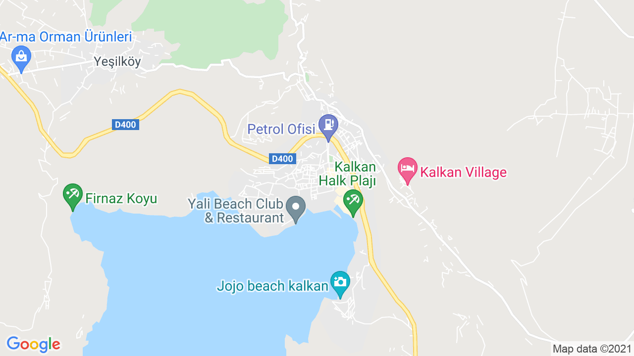 google map