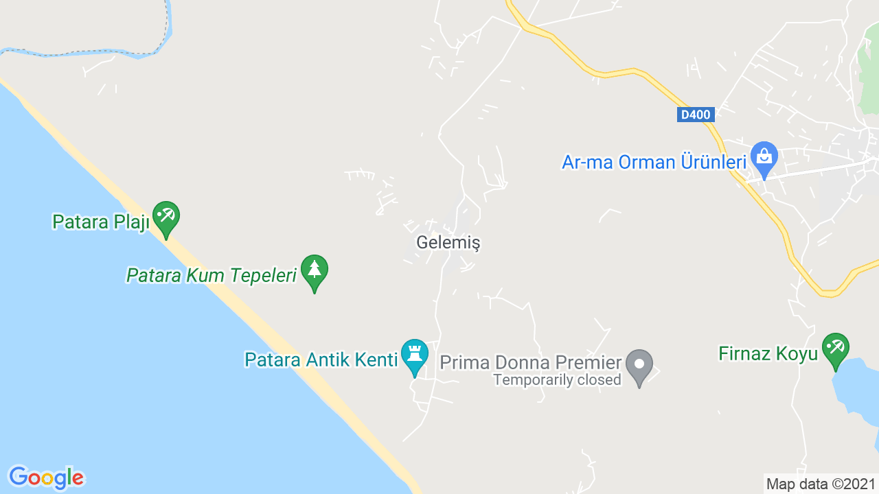 google map