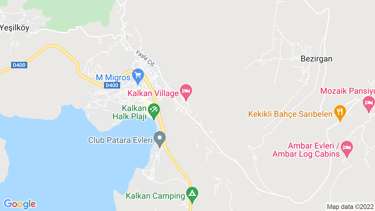 google map