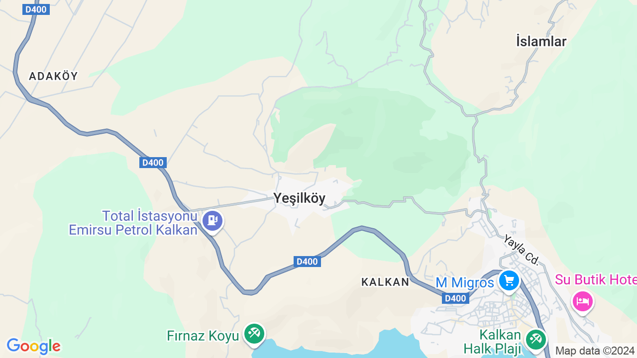 google map