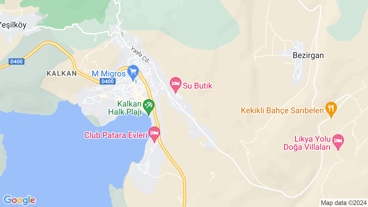 google map