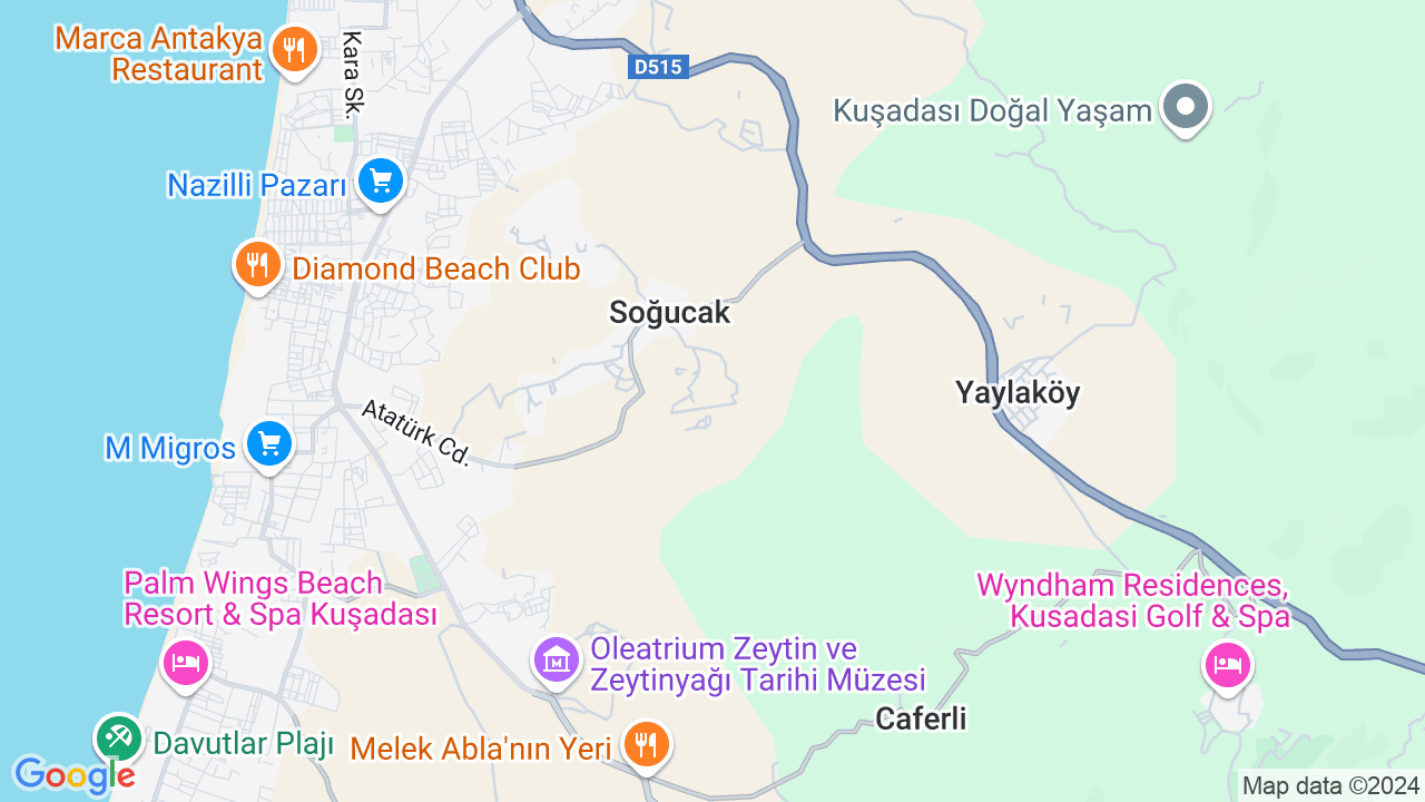 google map