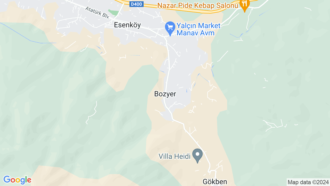 google map