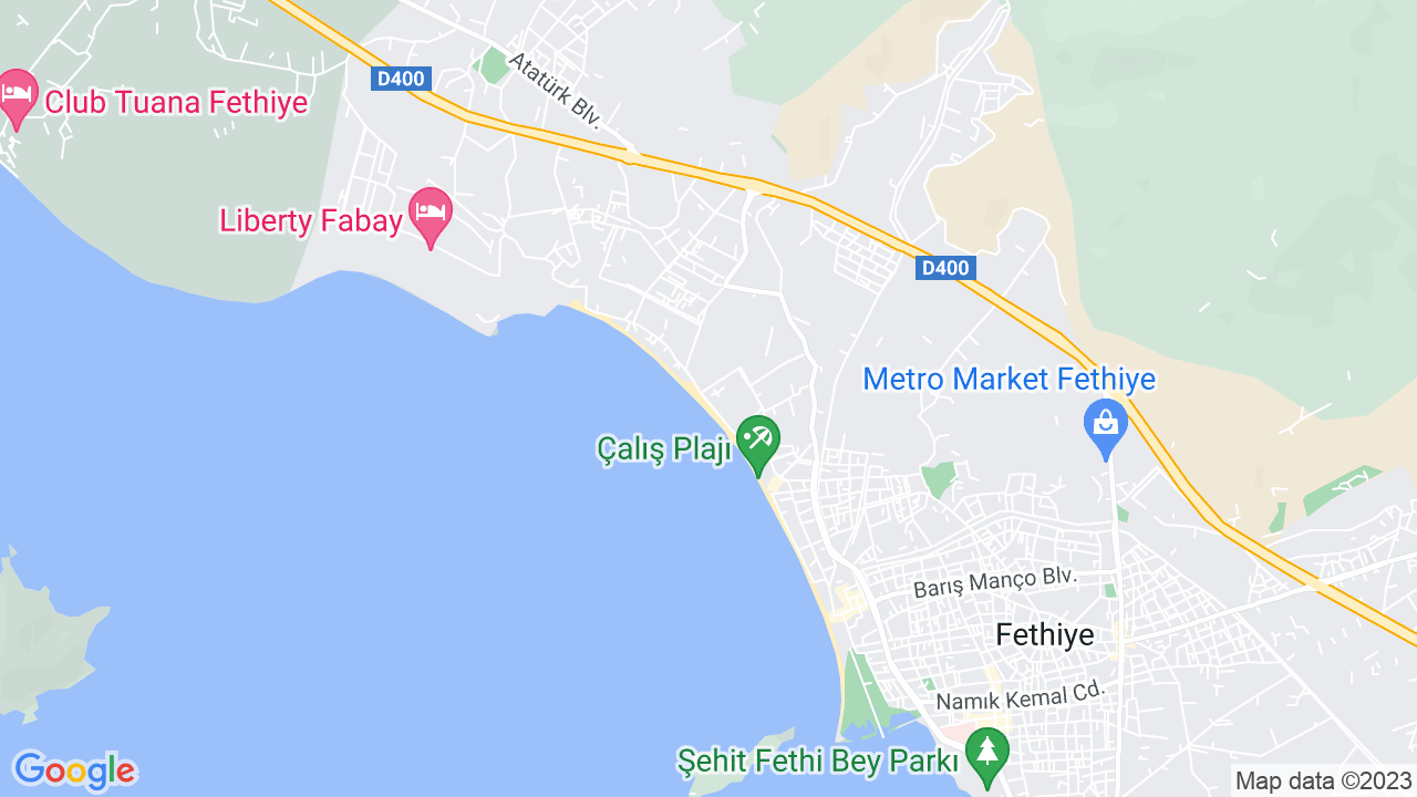 google map