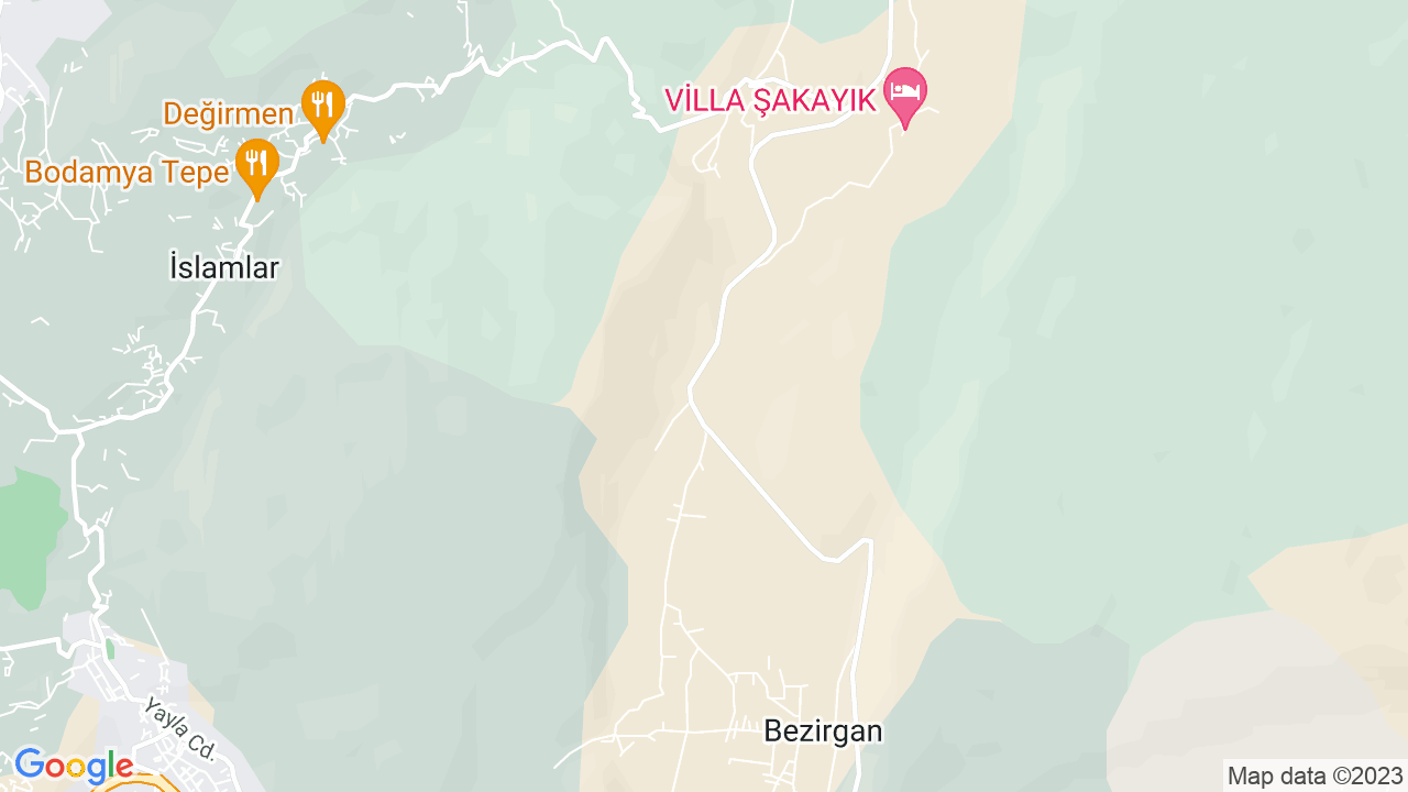 google map