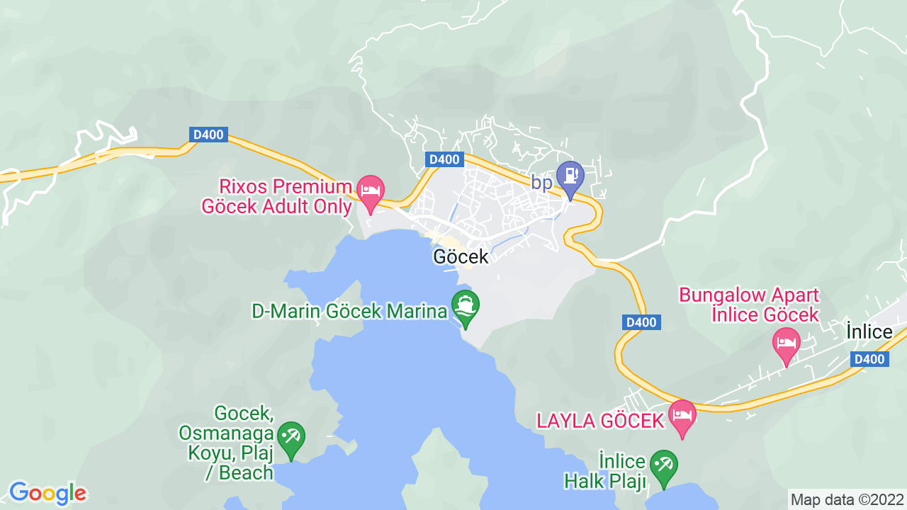 google map