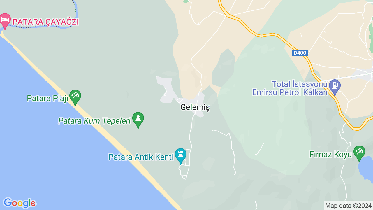 google map