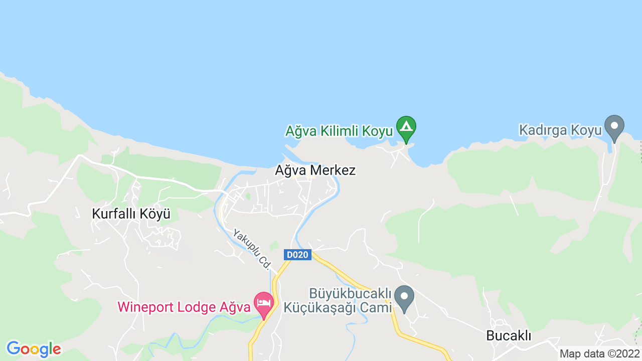 google map