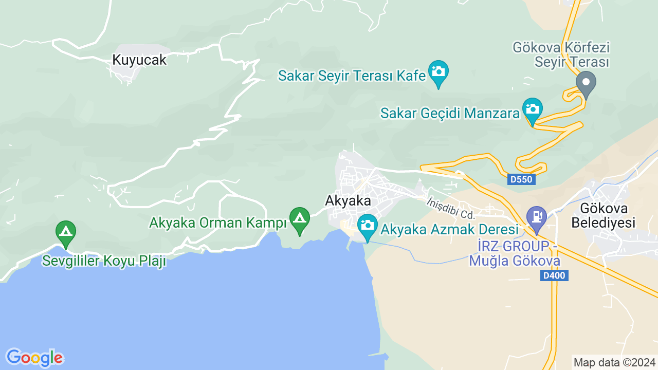 google map