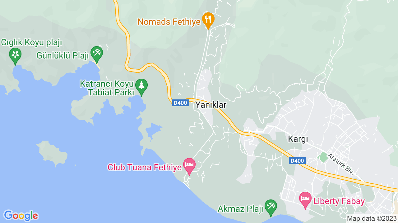google map