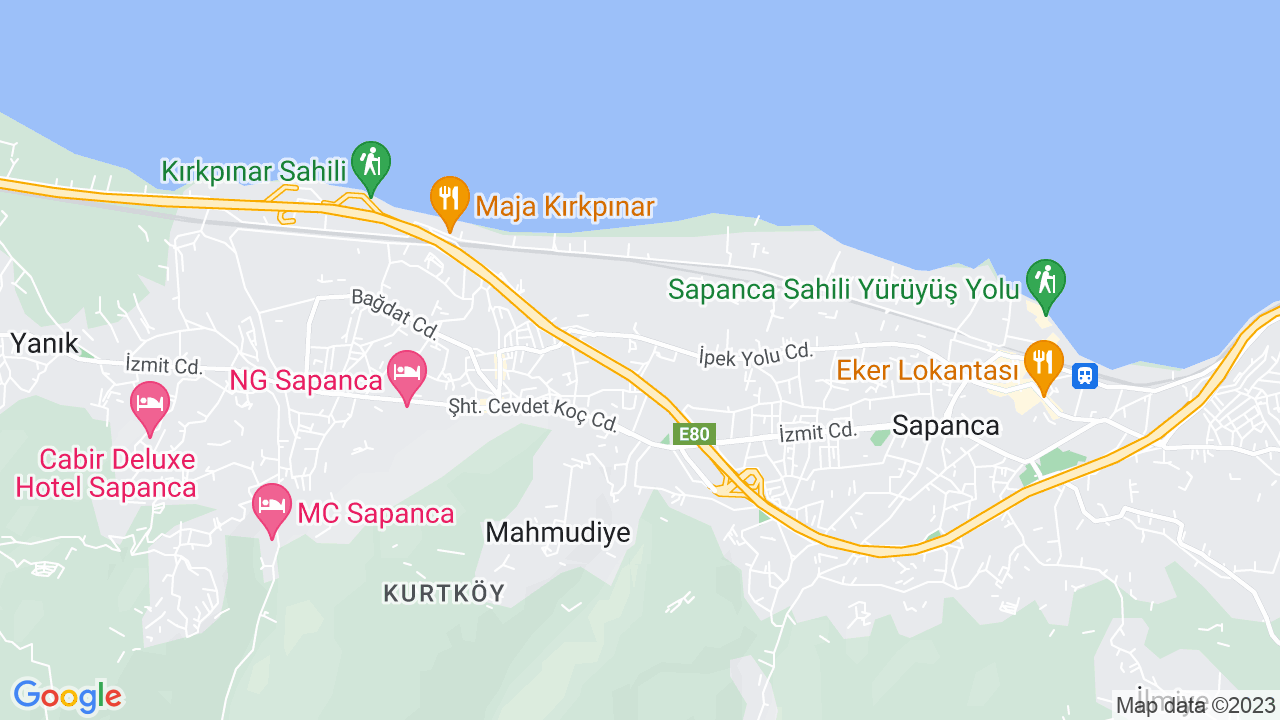 google map