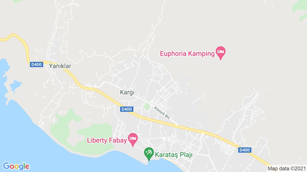 google map