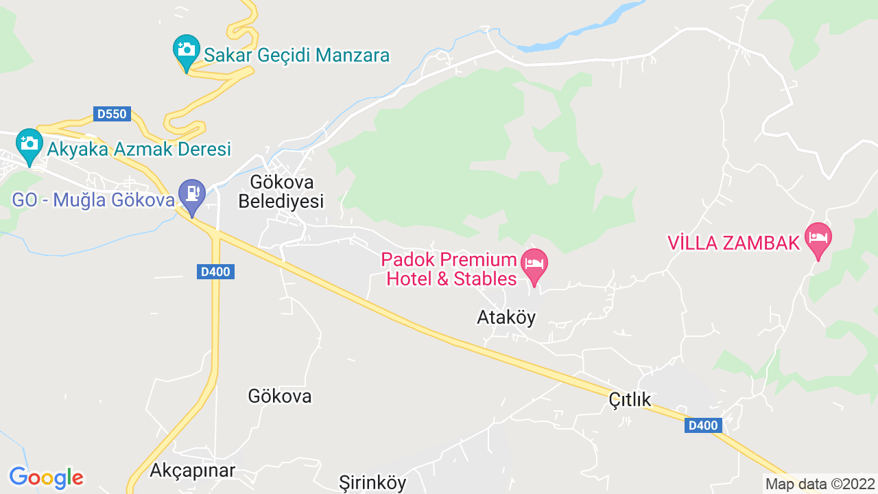 google map
