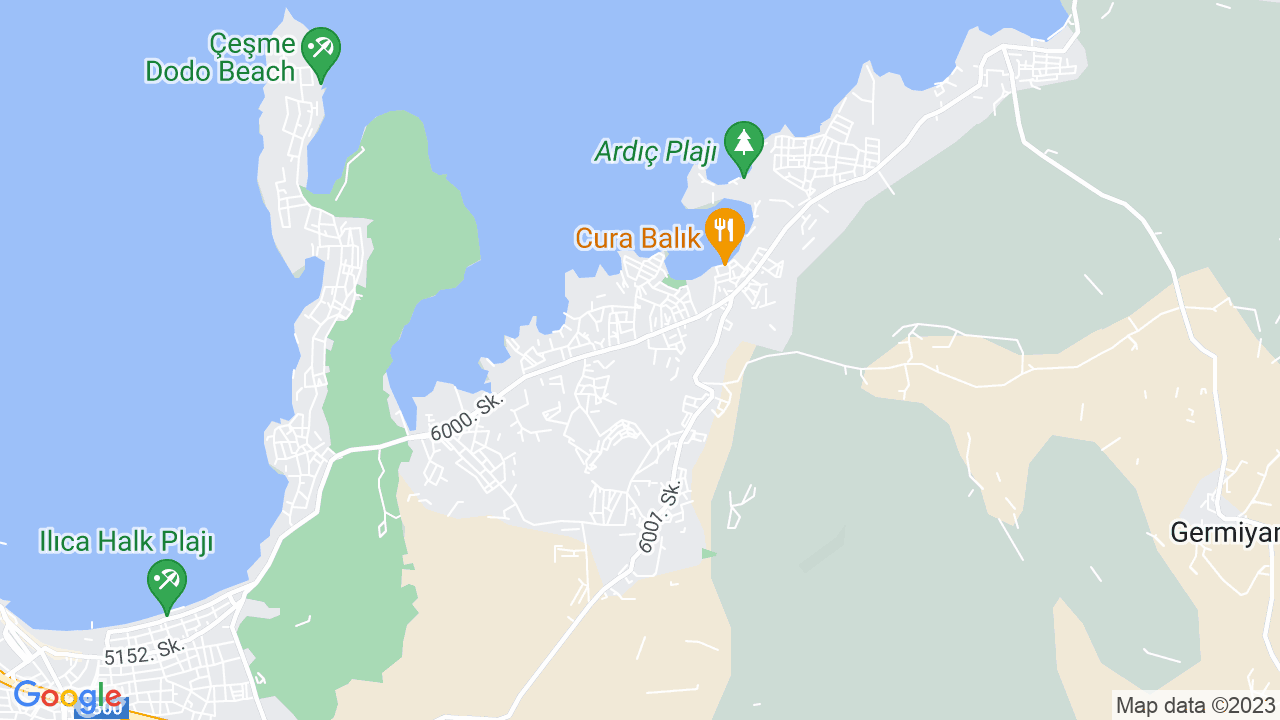 google map