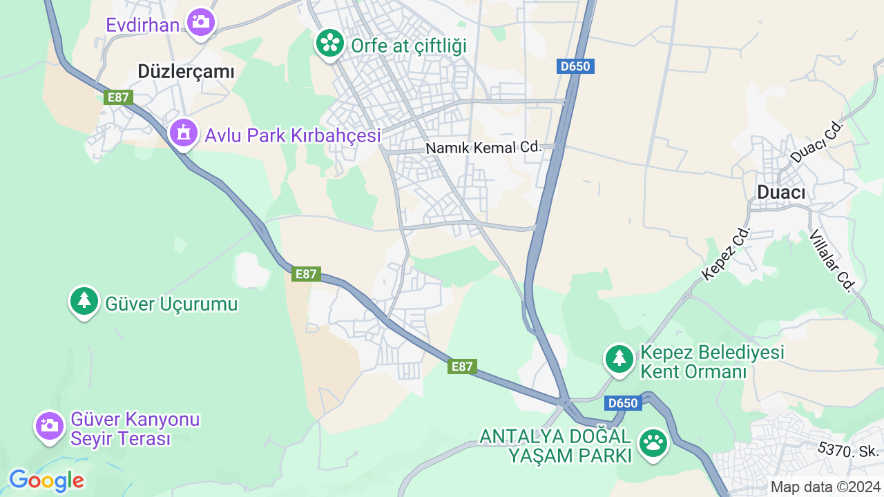 google map