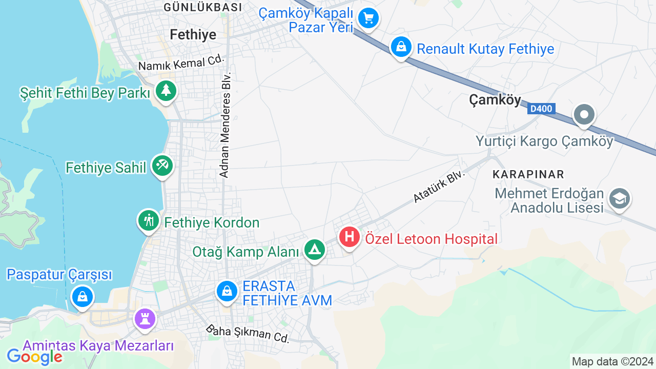 google map