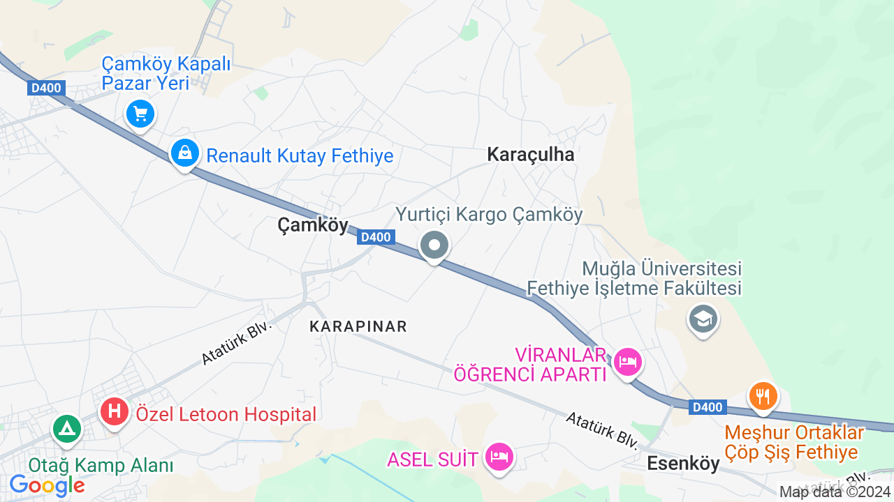 google map