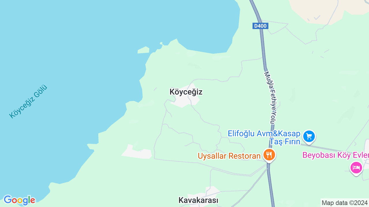 google map