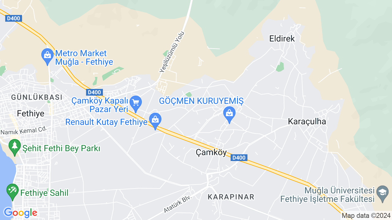 google map