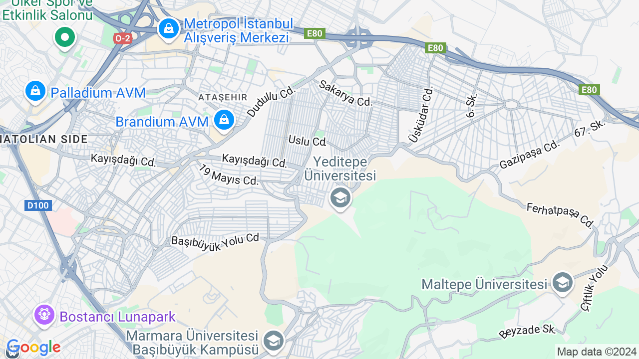 google map