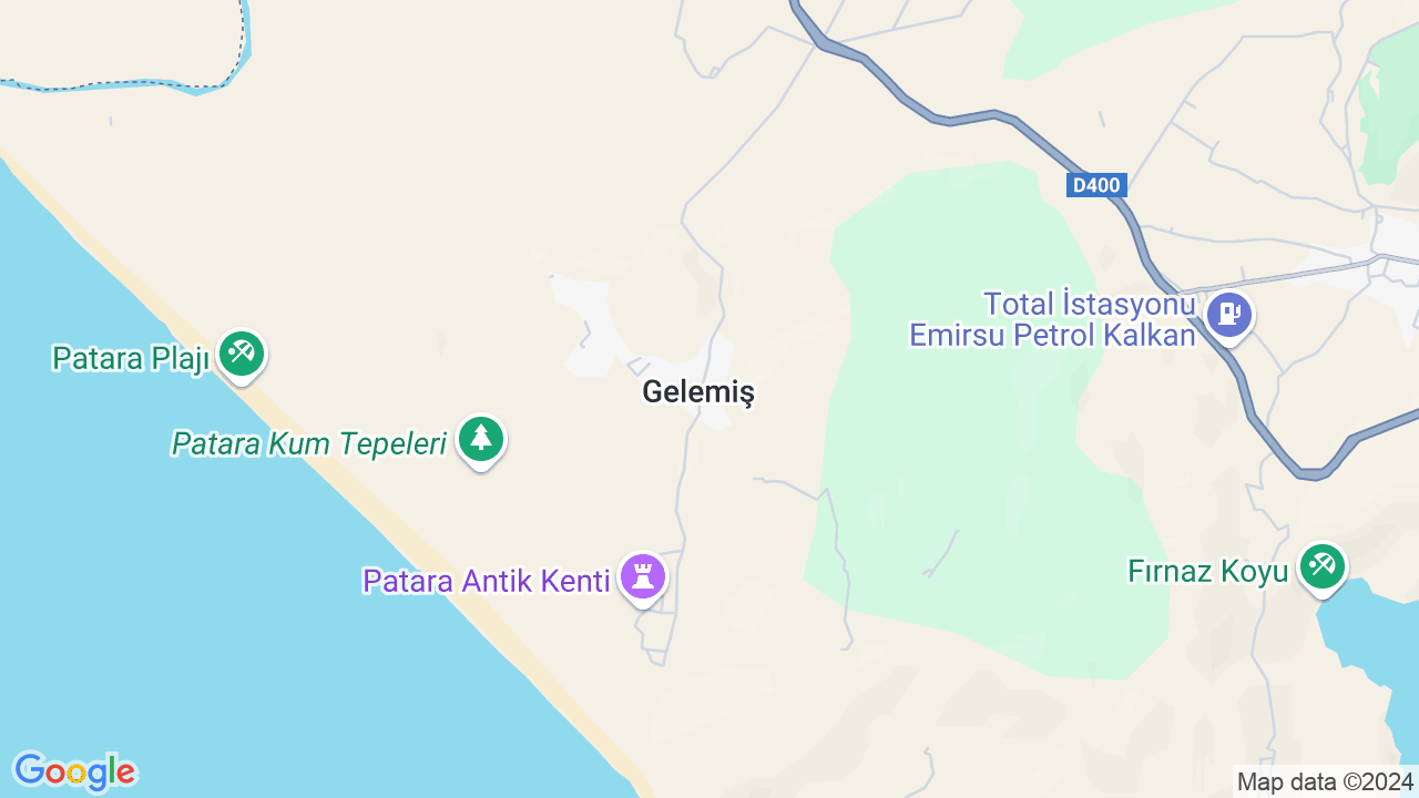 google map