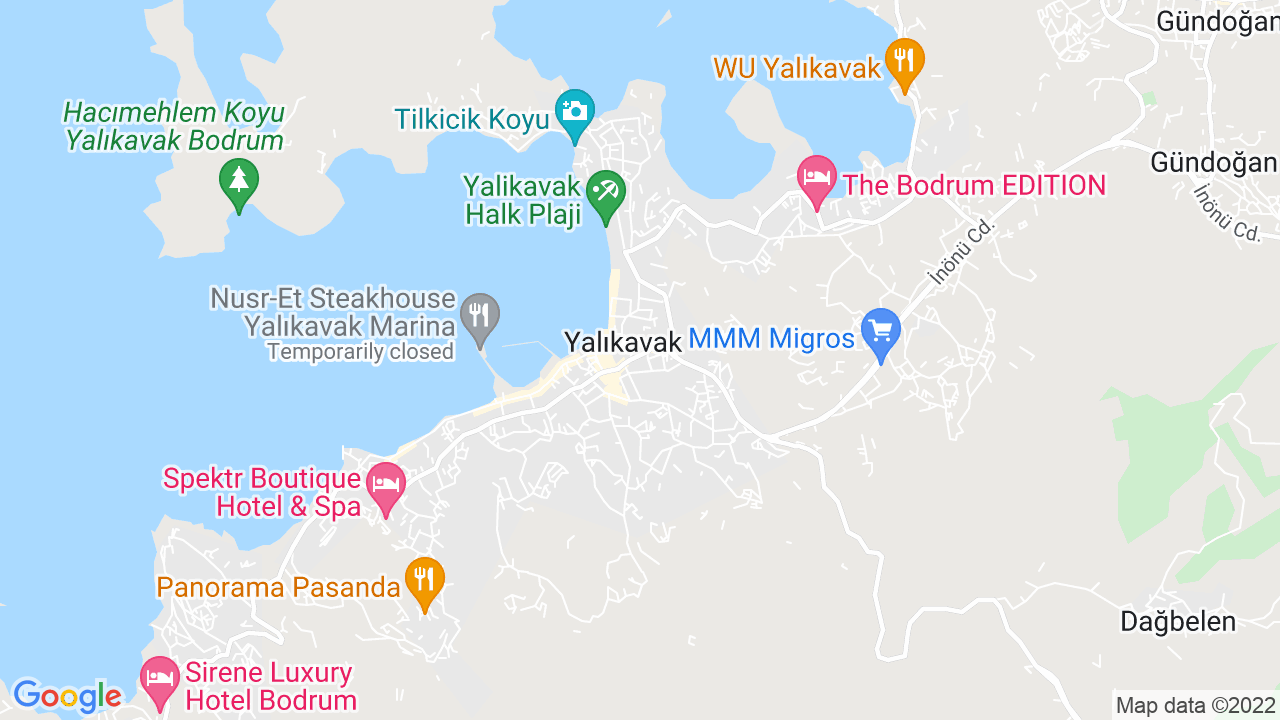 google map