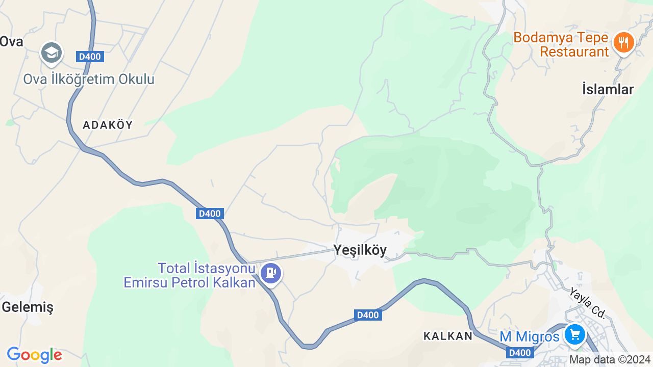 google map