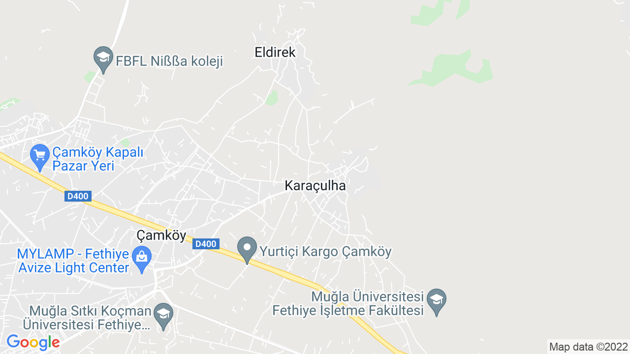 google map