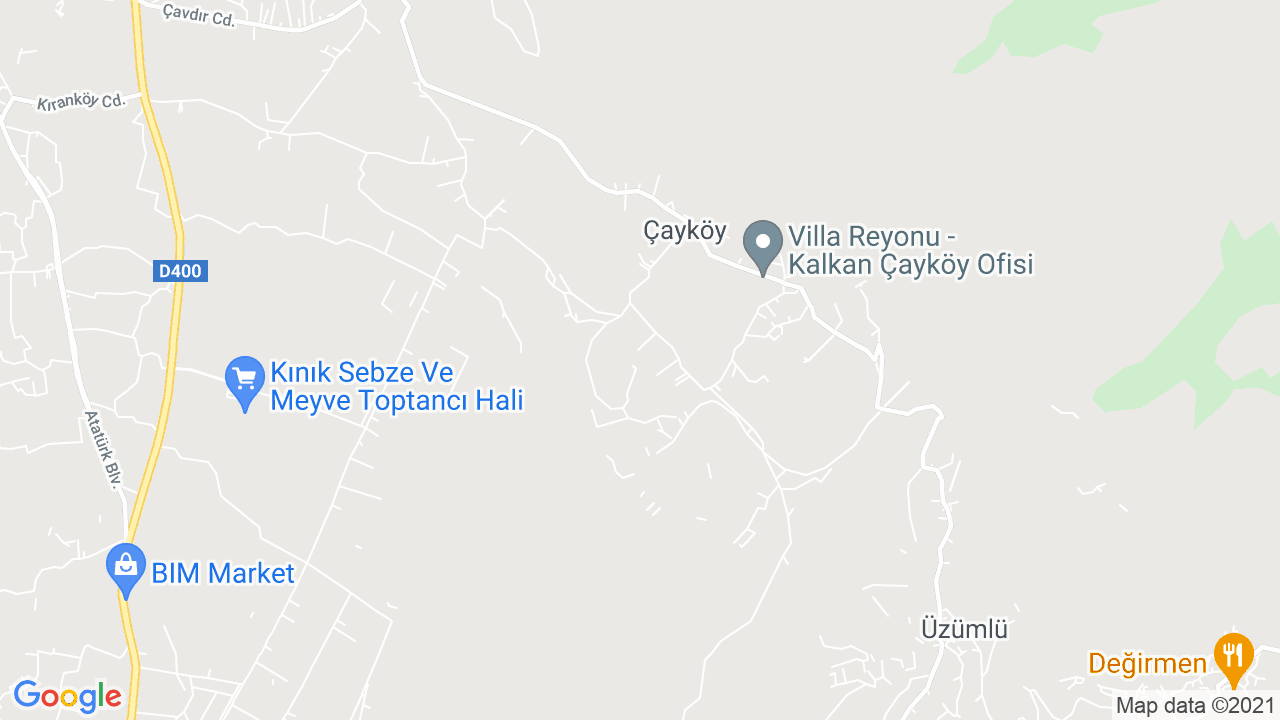 google map