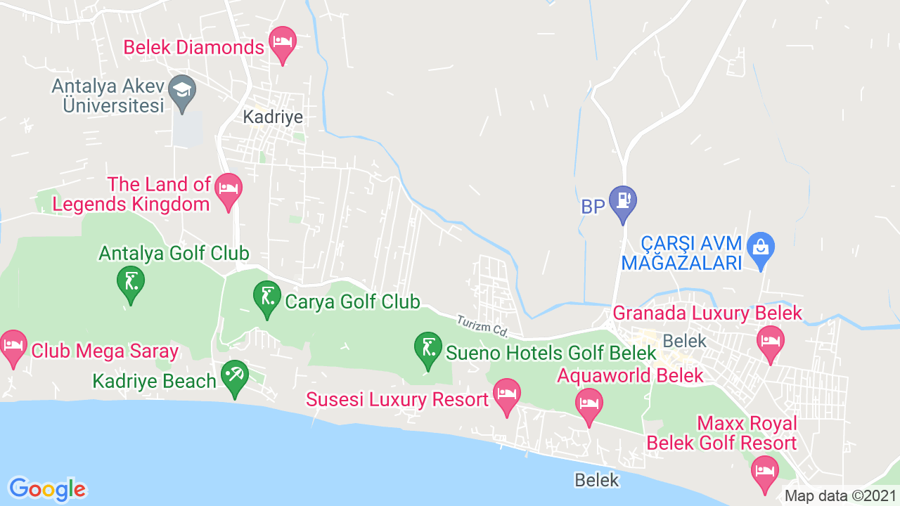 google map