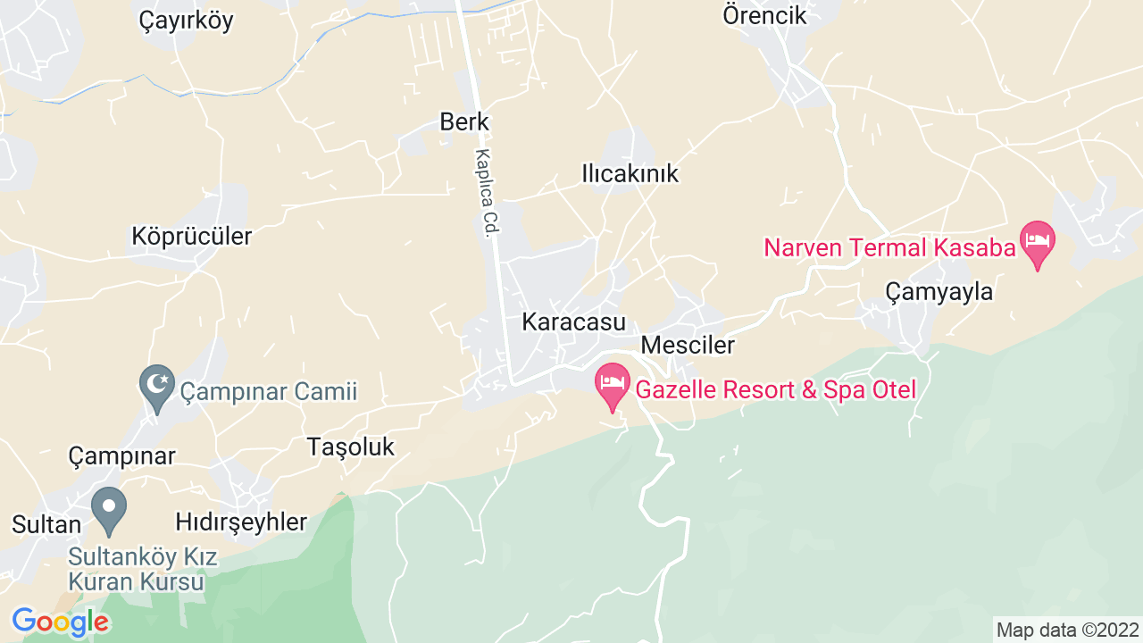 google map