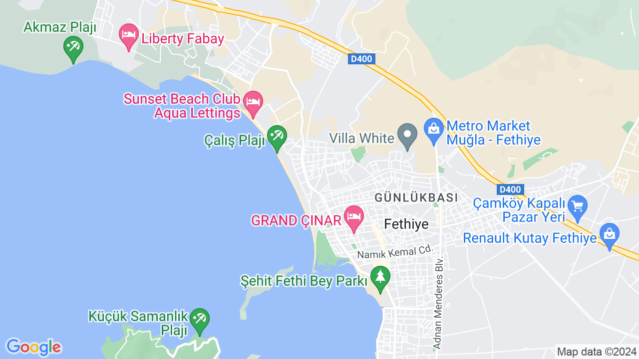 google map