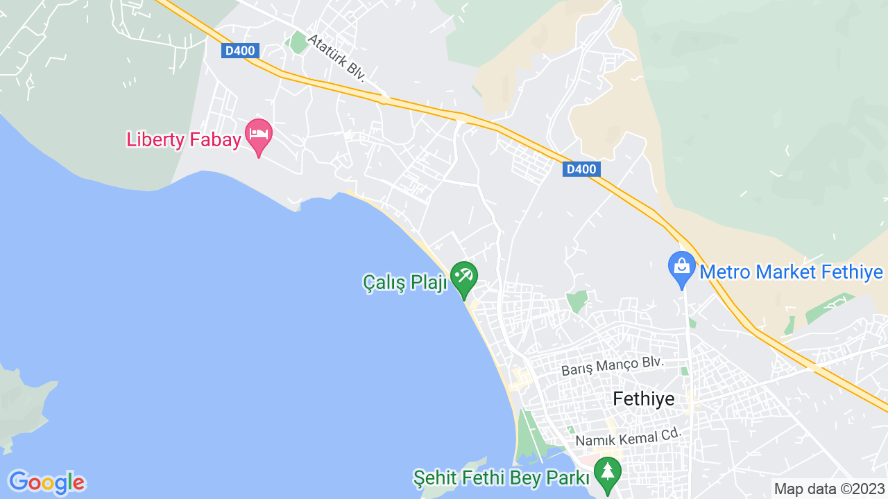 google map