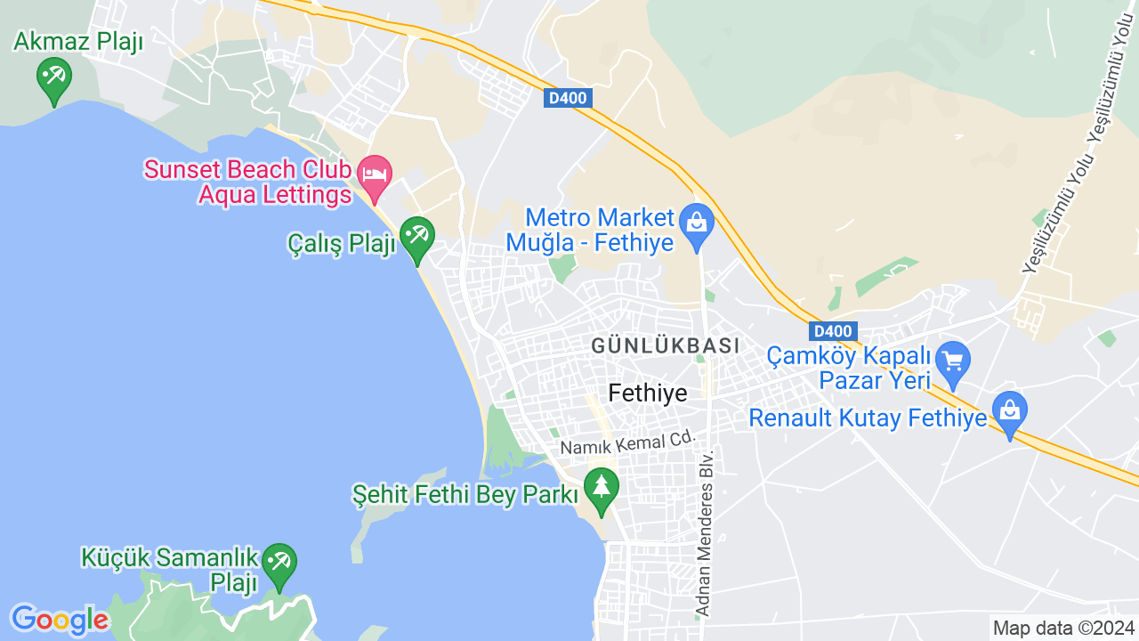 google map