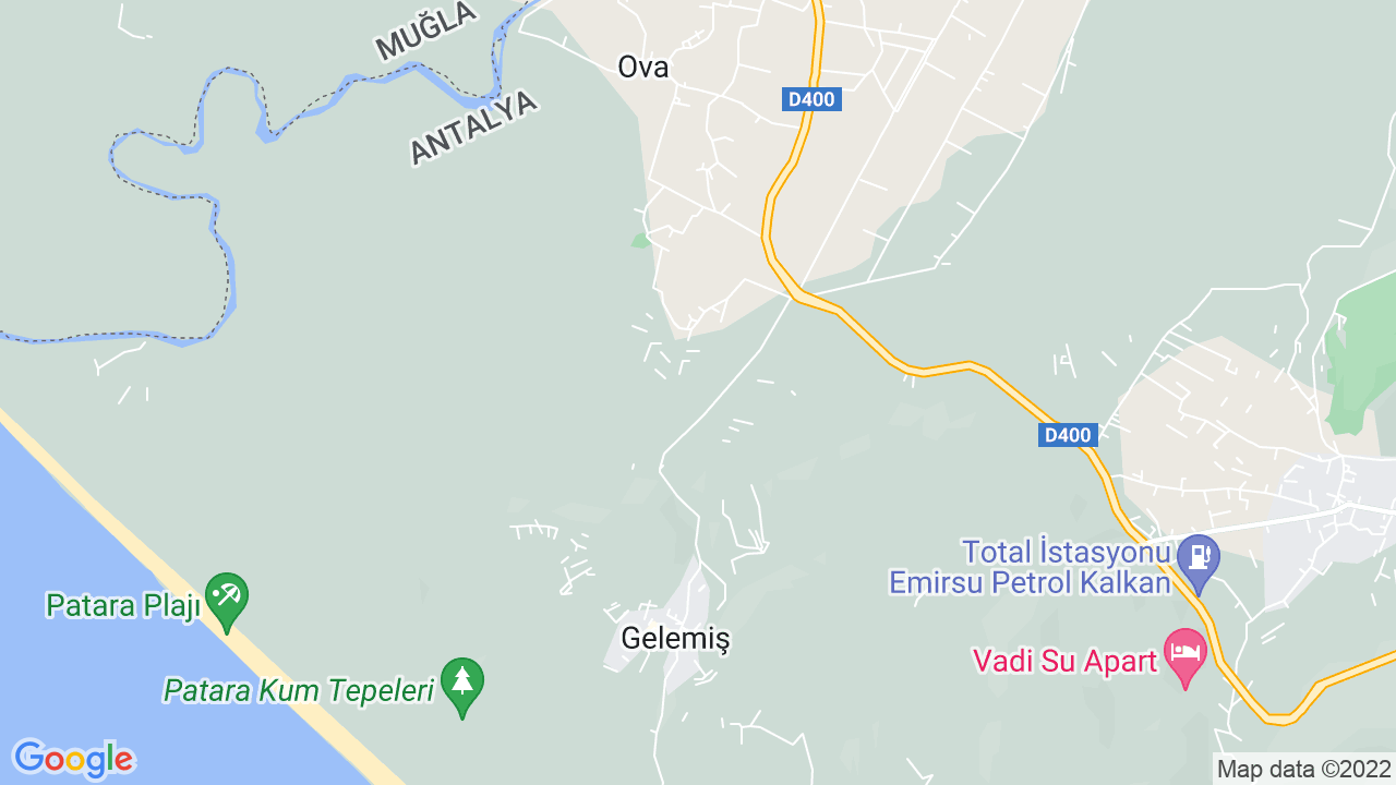 google map
