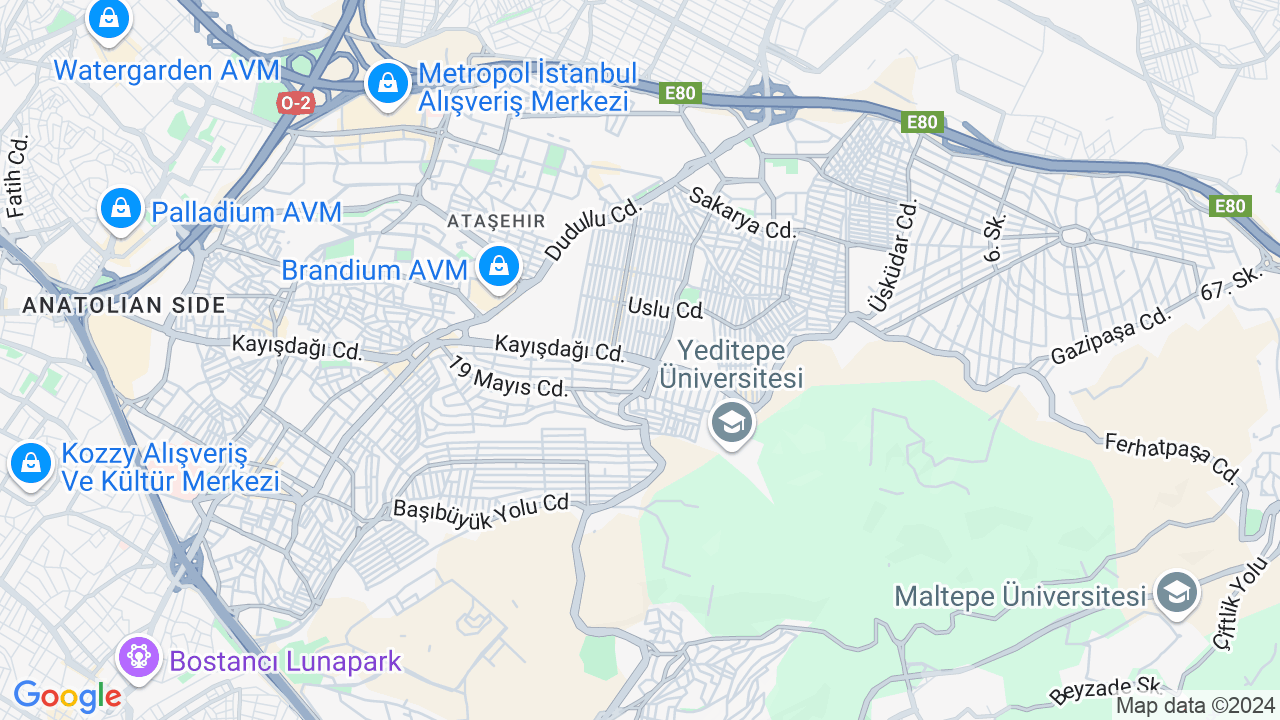 google map