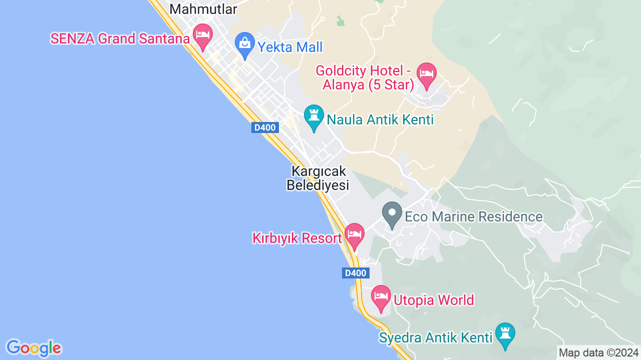 google map