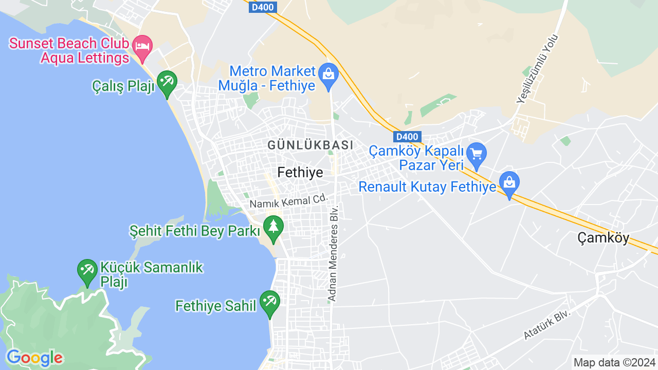 google map