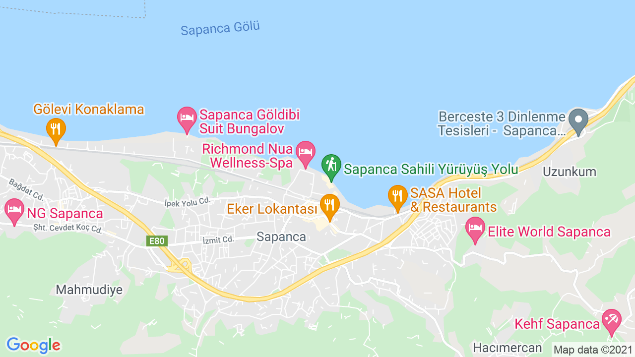 google map
