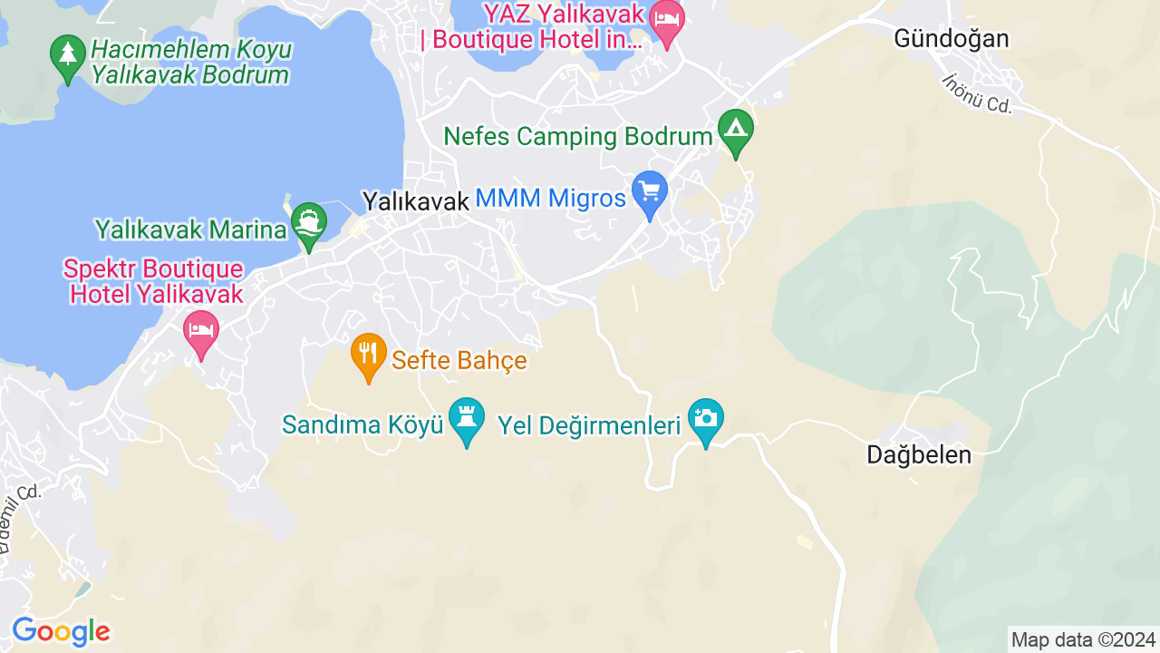 google map