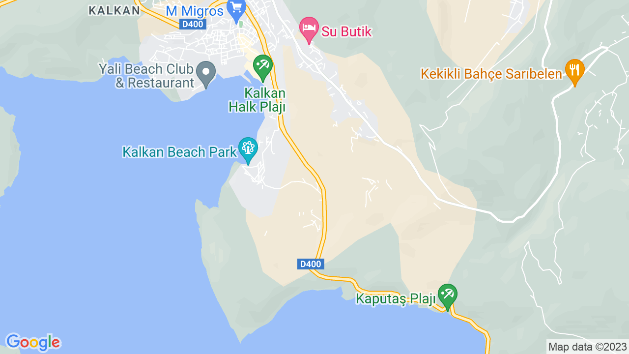google map