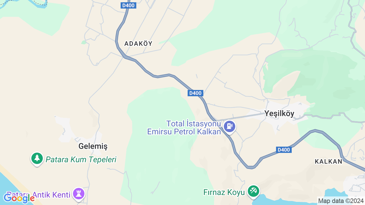 google map