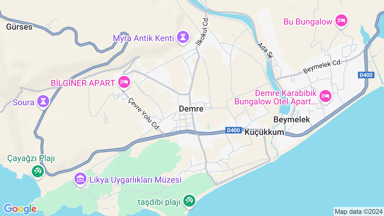 google map