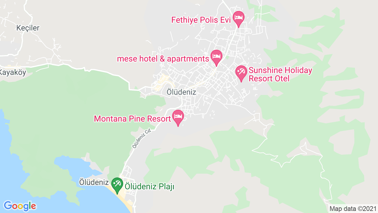 google map