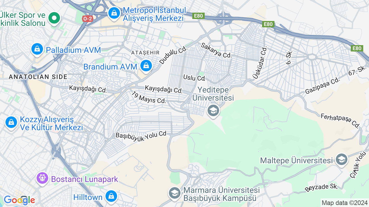 google map