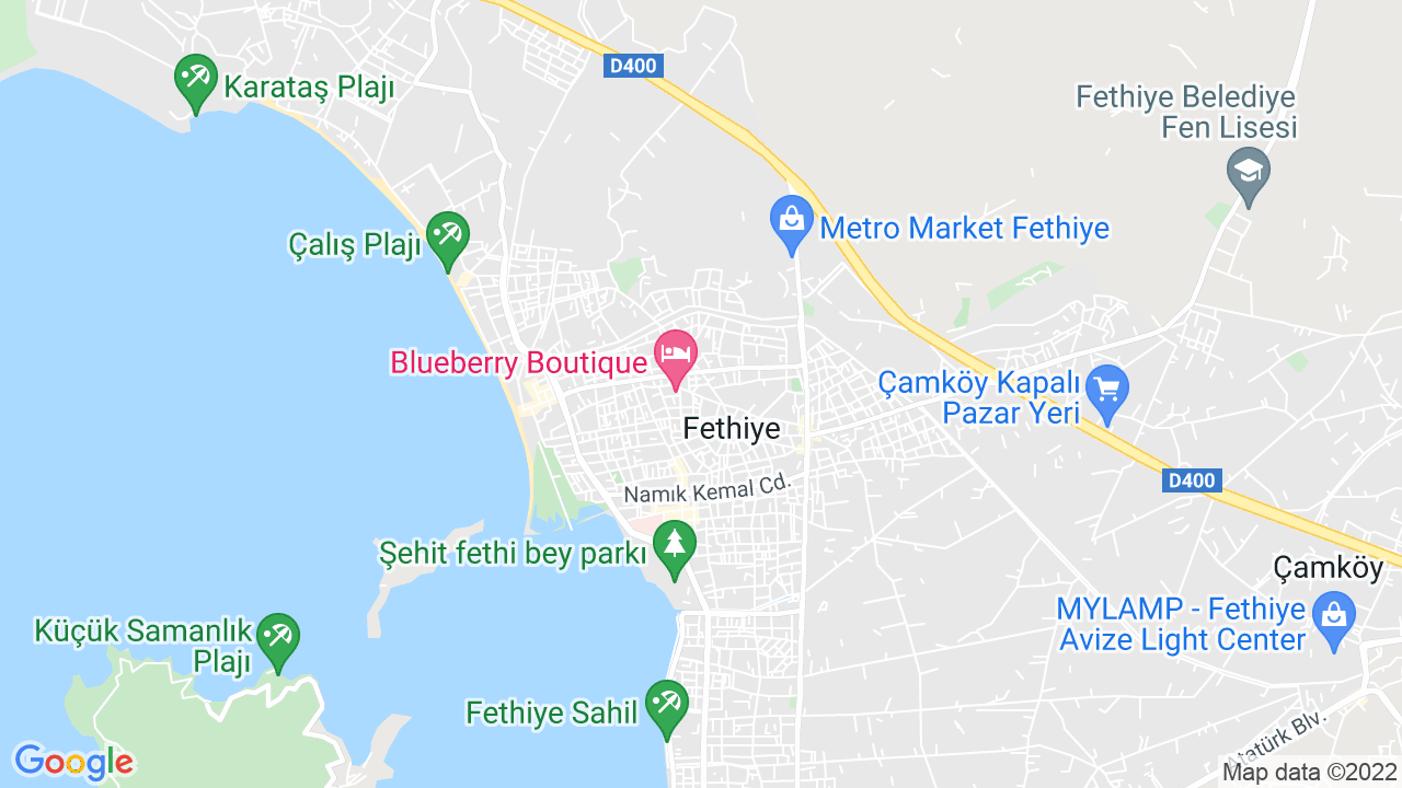 google map
