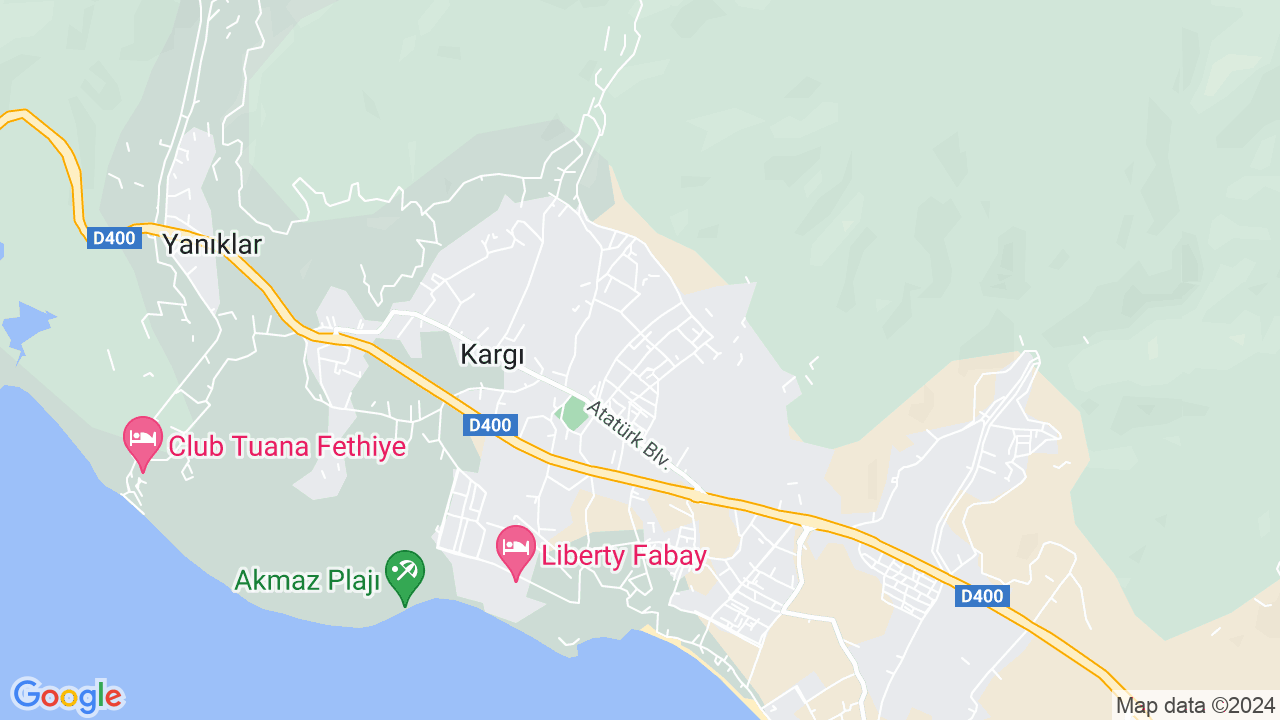 google map