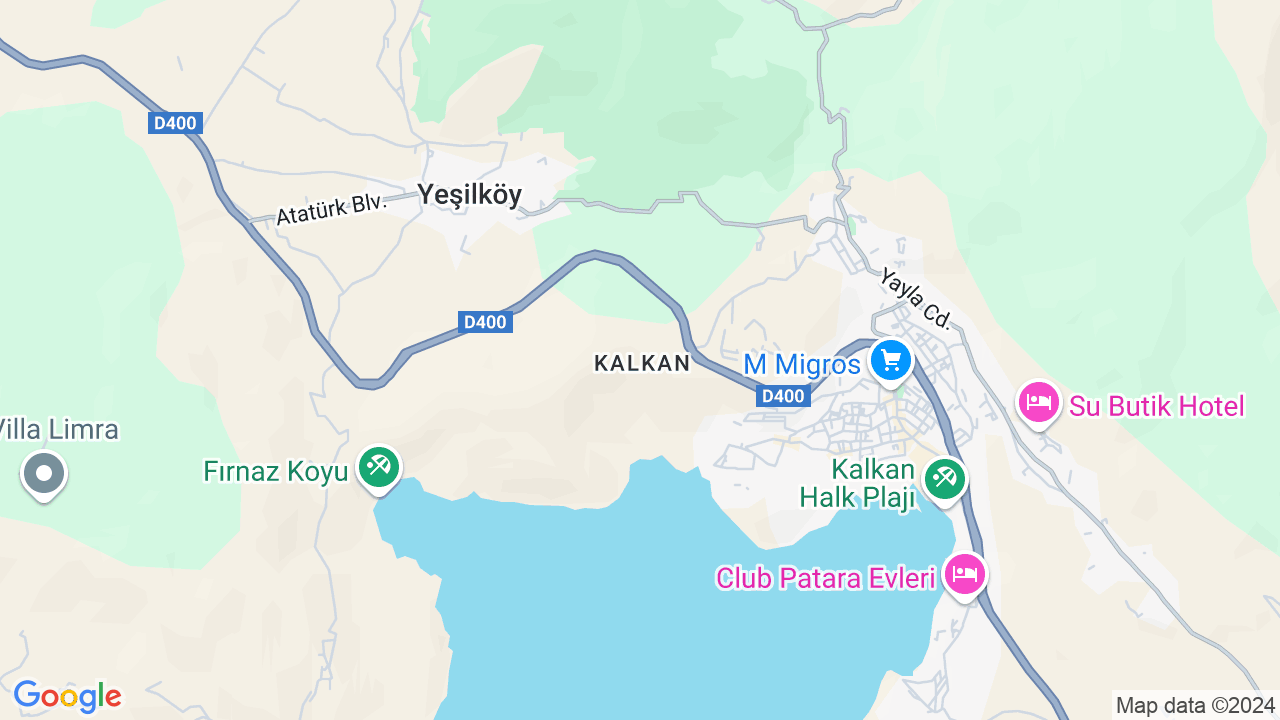 google map