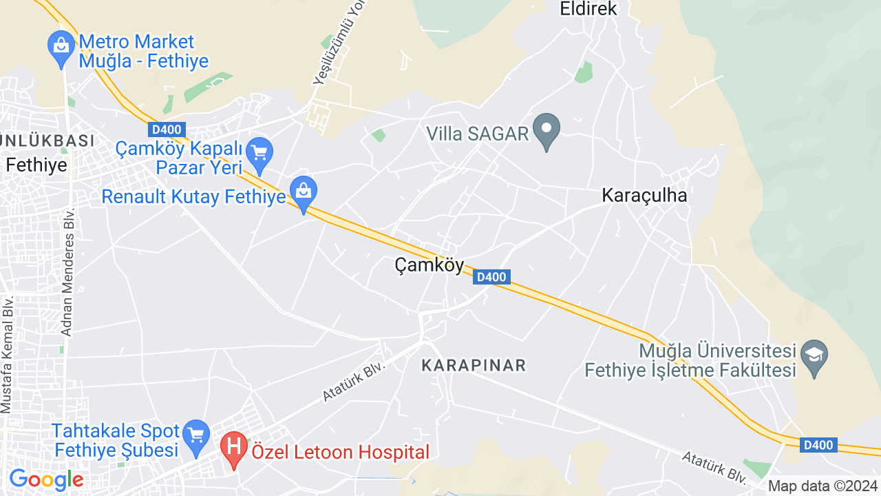 google map